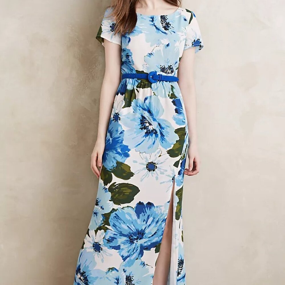 Paper Crown Dayflower Maxi Dress Size XS